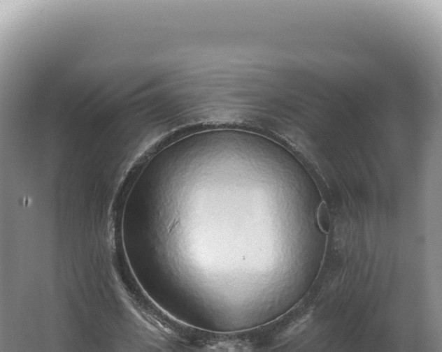 X0000062640584200512231043