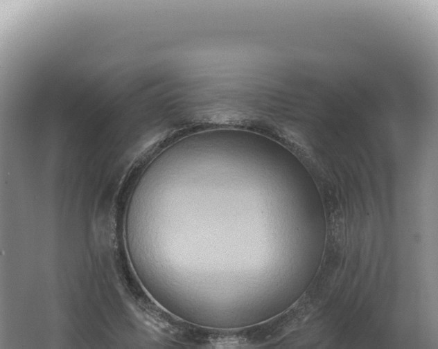 X0000062640587200512231043