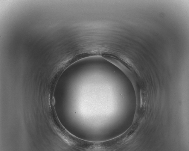 X0000062640589200512231043