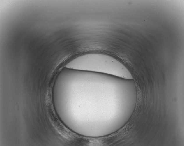 X0000062640591200512231043