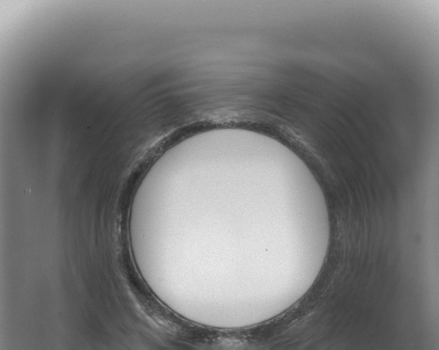 X0000062640592200512231043
