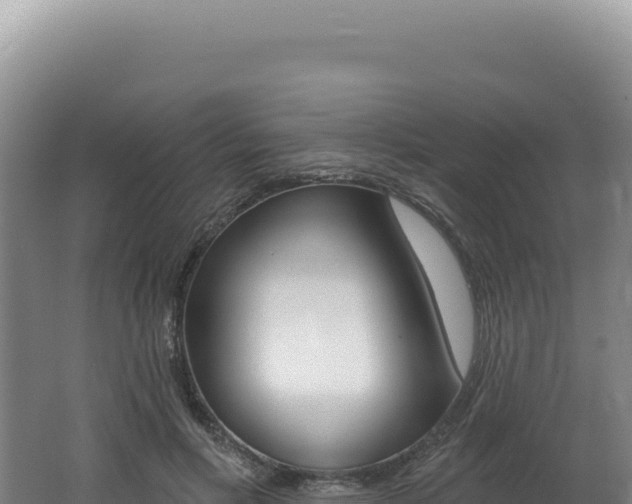X0000062640597200512231043