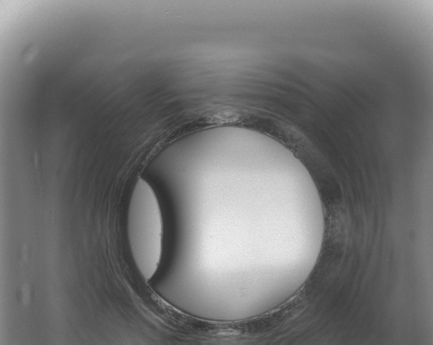 X0000062640598200512231043