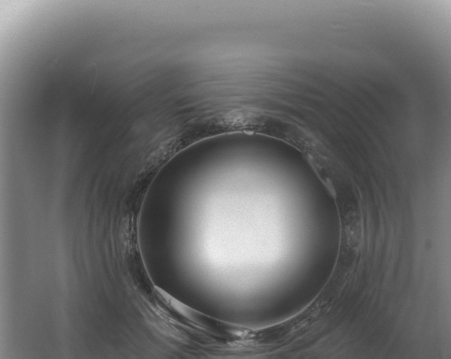 X0000062640605200512231043
