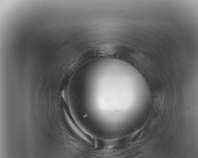 X0000062640608200512231043