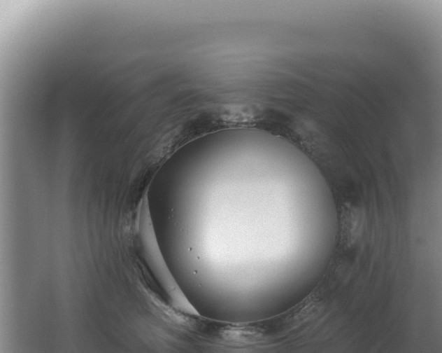 X0000062640614200512231042