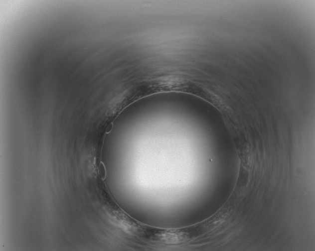 X0000062640615200512231042