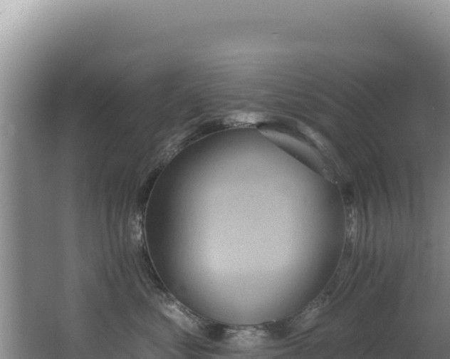 X0000062640621200512231042