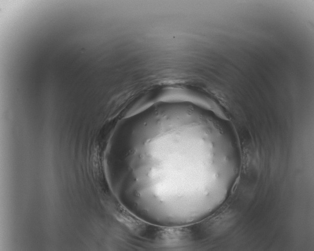 X0000062640623200512231042