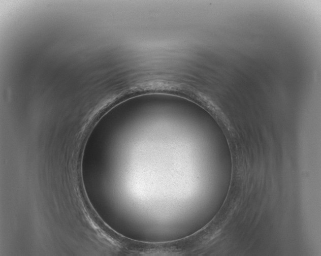 X0000062640625200512231041