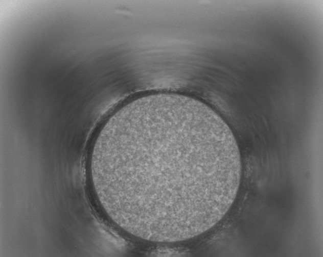 X0000062640632200512231042