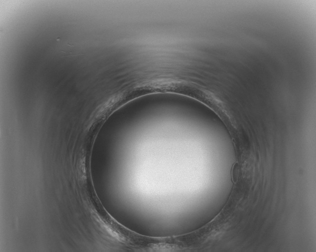 X0000062640633200512231042