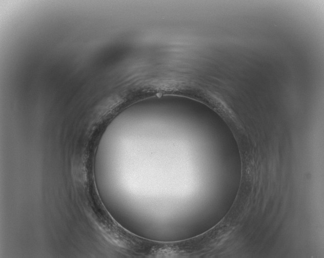 X0000062640635200512231042