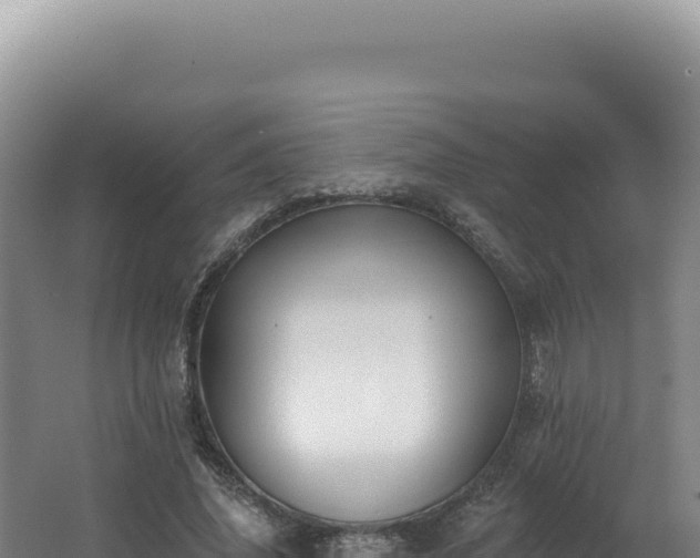 X0000062640636200512231042