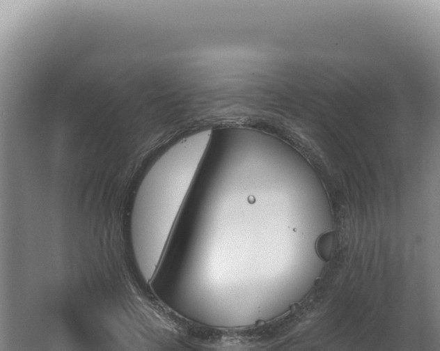 X0000062640641200512231042