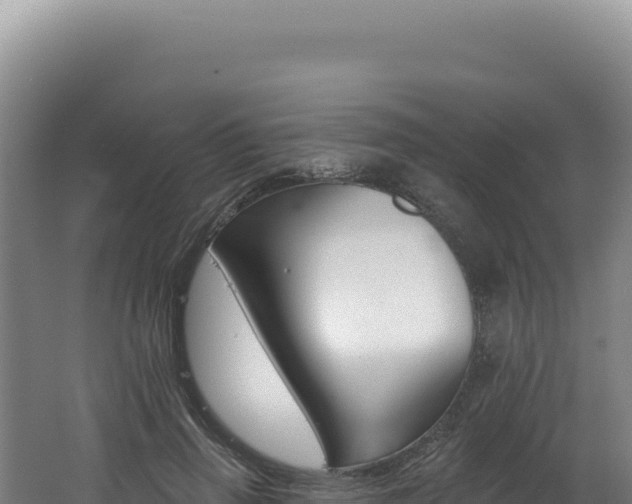 X0000062640645200512231042