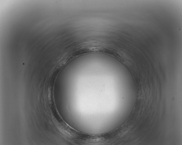 X0000062640646200512231042