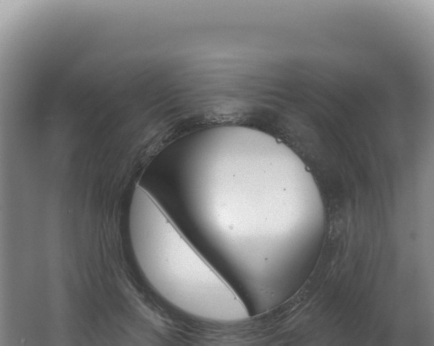 X0000062640647200512231042