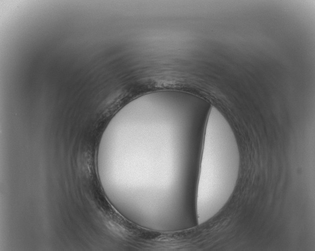 X0000062640648200512231042
