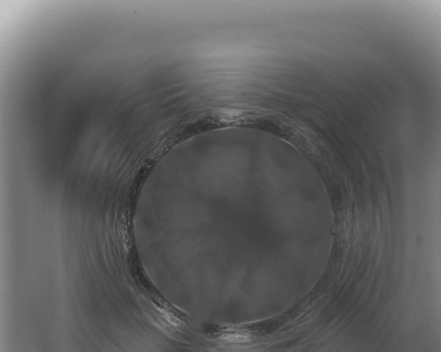 X0000062640653200512231042