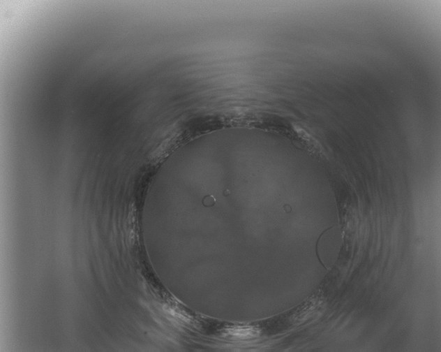 X0000062640659200512231042