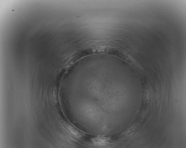 X0000062640661200512231042