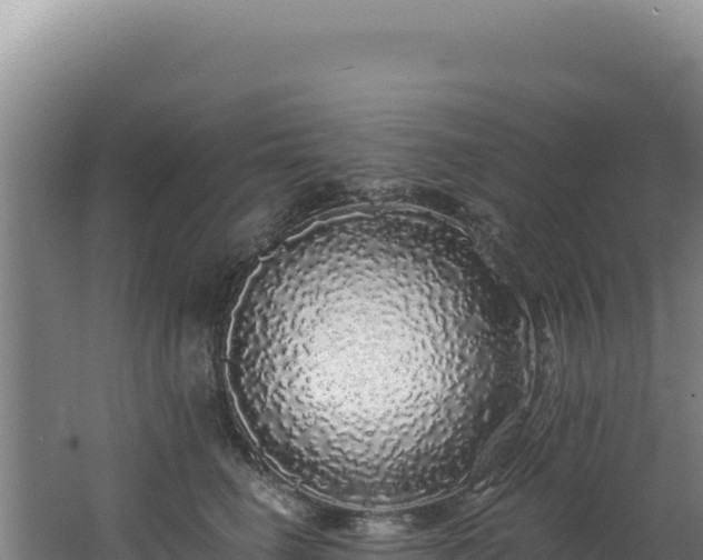 X0000062640662200512231042