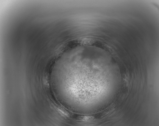 X0000062640663200512231042