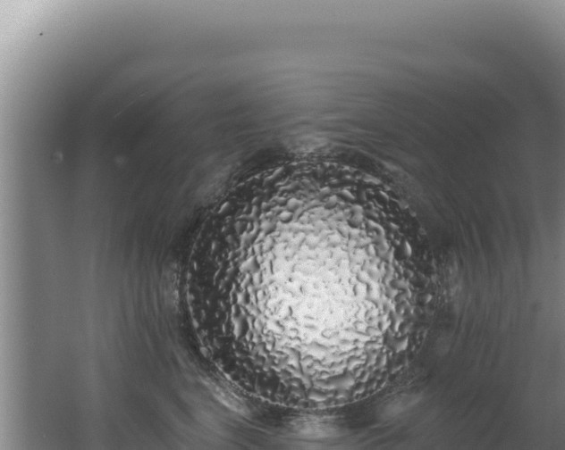 X0000062640664200512231042
