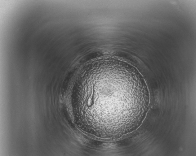 X0000062640667200512231042