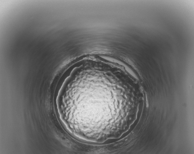 X0000062640675200512231041