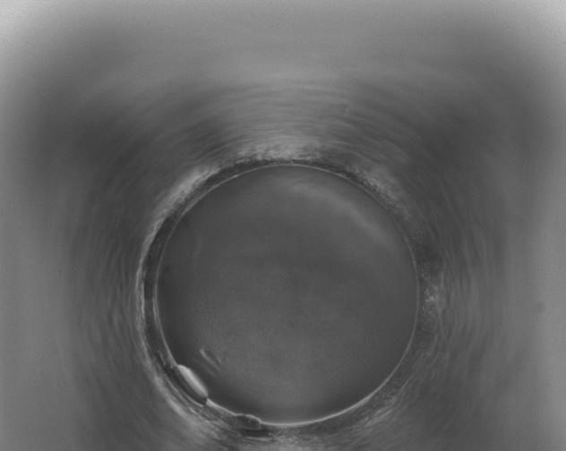 X0000062640678200512231041
