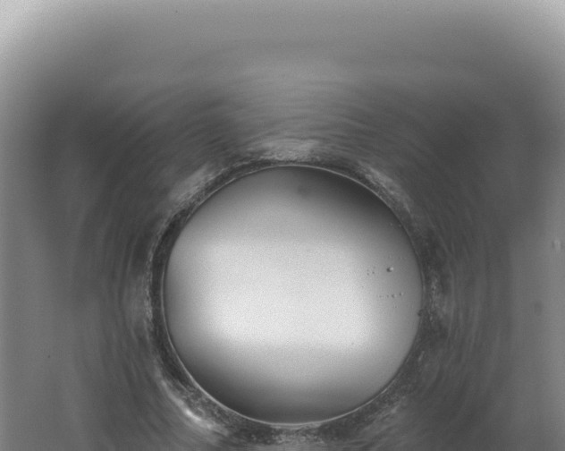 X0000062640682200512231041