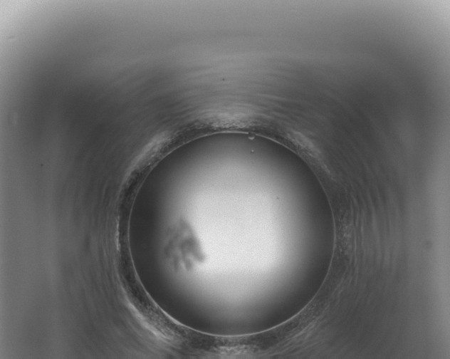 X0000062640686200512231041
