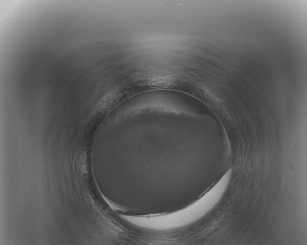 X0000062640689200512231041