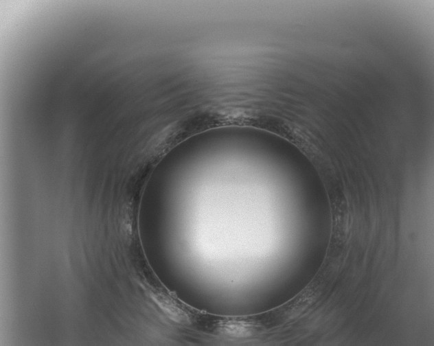 X0000062640710200512231041