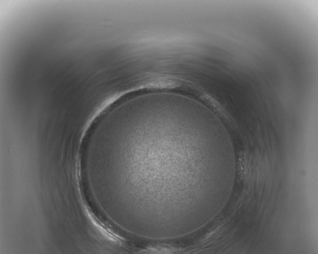 X0000062640726200512231040