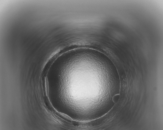 X0000062640727200512231040