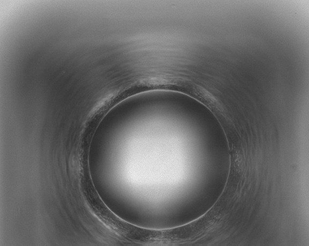 X0000062640732200512231040