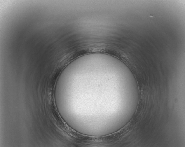 X0000062640741200512231040