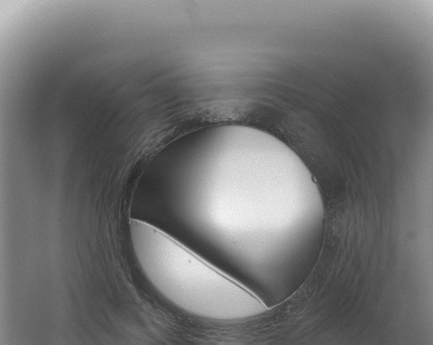 X0000062640743200512231040
