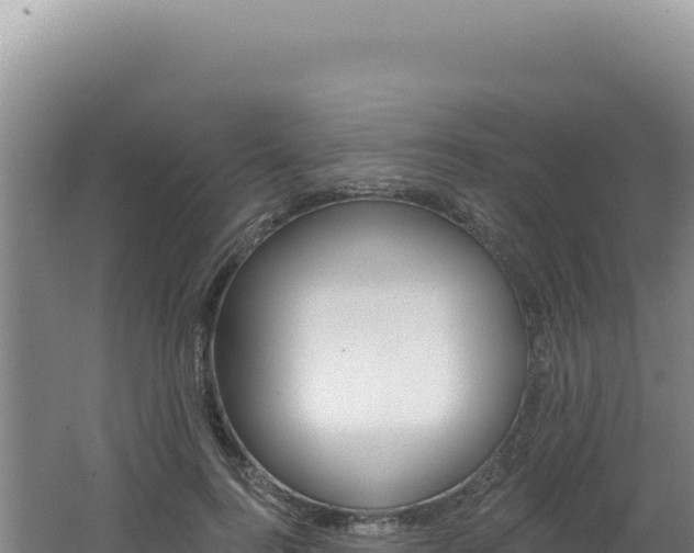 X0000062640744200512231040