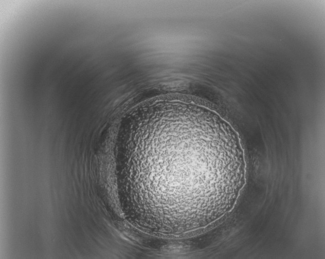 X0000062640745200512231040