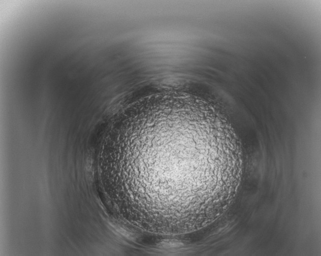 X0000062640749200512231040