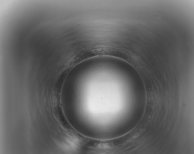 X0000062640751200512231040