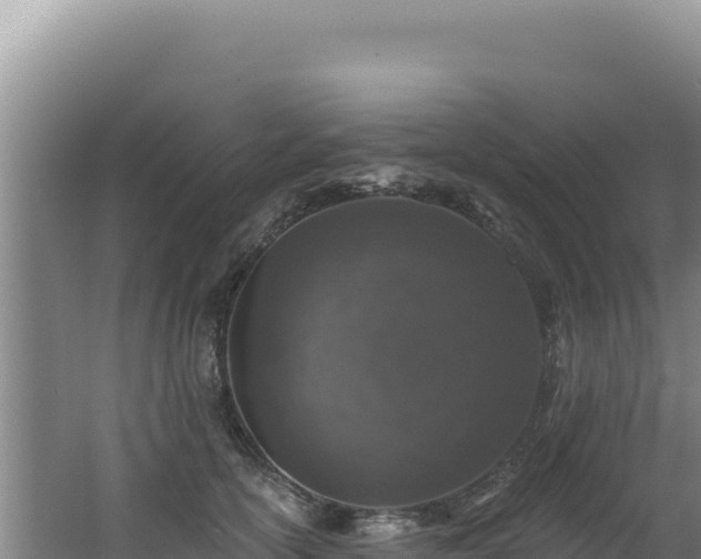 X0000062640754200512231040