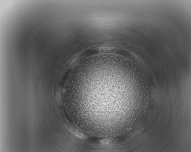 X0000062640761200512231040