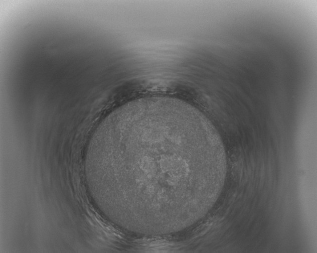 X0000062640769200512231040