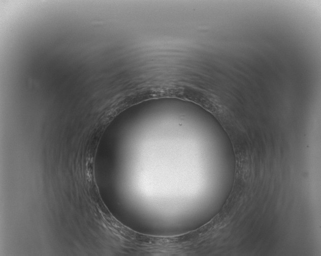 X0000062640770200512231040