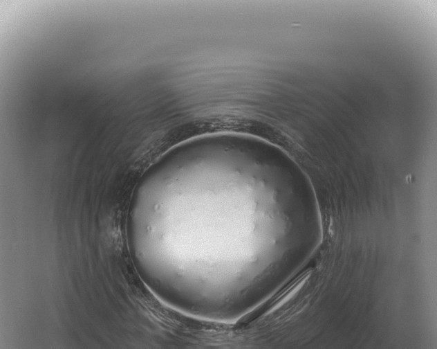 X0000062640771200512231040
